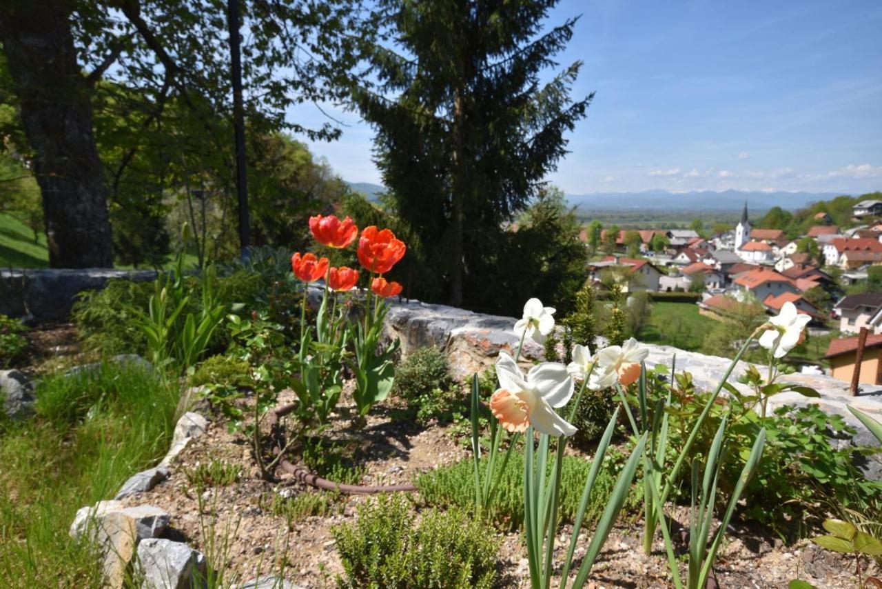 Apartmaji Lejardin Skofljica Exterior photo