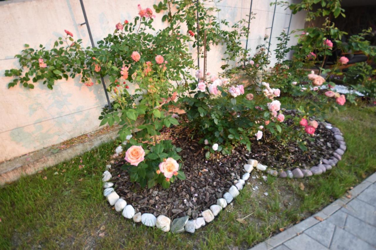Apartmaji Lejardin Skofljica Exterior photo